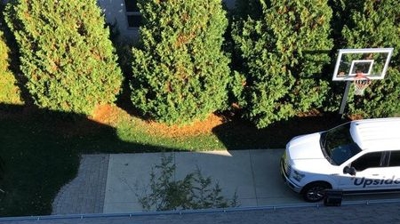 Upside Roofing Project Photo